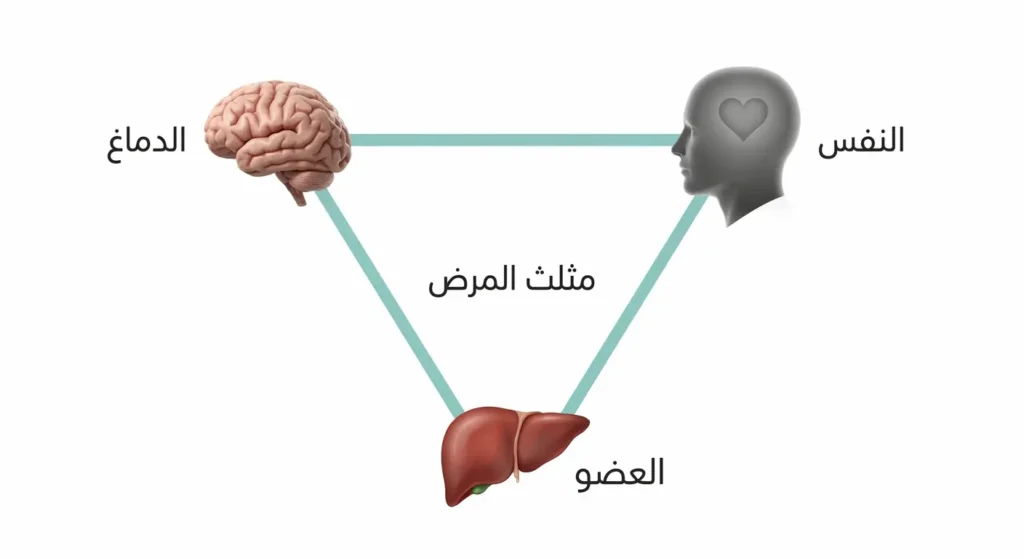 رسم توضيحي لمثلث المرض يُظهر العلاقة الثلاثية بين النفس والدماغ والعضو في الطب الشعوري التصنيفي