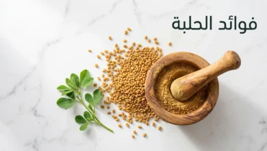 بذور الحلبة المجففة ذهبية اللون متناثرة على سطح رخامي أبيض بجانب هاون خشبي يحتوي على مسحوق الحلبة وغصن أخضر طازج من نبات الحلبة