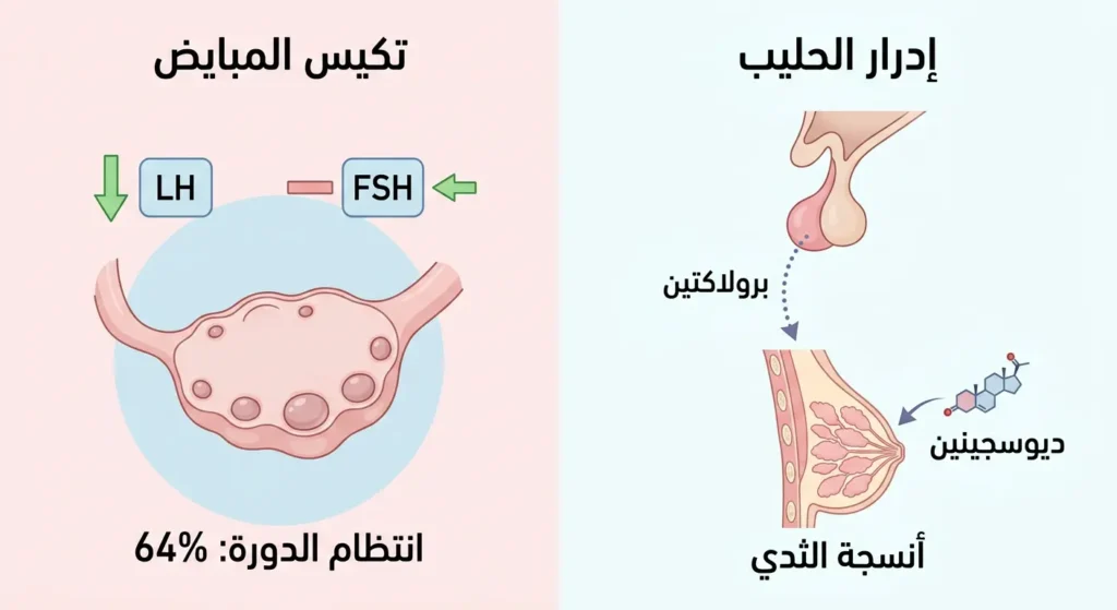 رسم توضيحي طبي من قسمين يوضح تأثير الحلبة على صحة المرأة: الأول يُظهر آلية تحفيز إدرار الحليب عبر الديوسجينين والبرولاكتين، والثاني يوضح تأثيرها على تكيس المبايض عبر تعديل نسبة LH وFSH