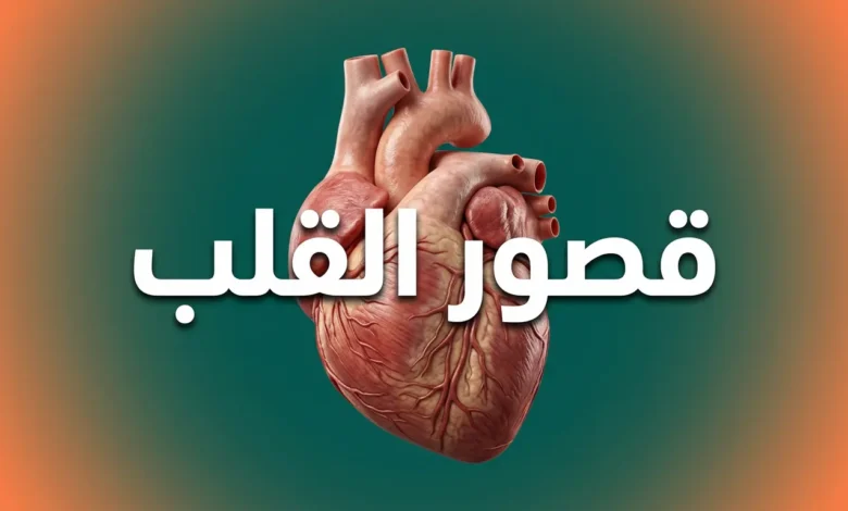 صورة غلاف توضيحية لمقال طبي عن قصور القلب تُظهر قلباً بشرياً تشريحياً واقعياً مع عنوان "قصور القلب" باللغة العربية