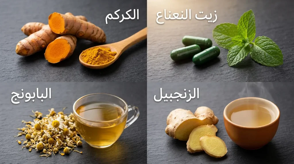 صورة ماكرو احترافية لأربعة مكملات عشبية مفيدة لمرضى القولون العصبي تشمل كبسولات زيت النعناع المغلفة معوياً وجذر الكركم الطازج وجذر الزنجبيل وأزهار البابونج المجففة مع أكواب شاي مرتبة على سطح أردوازي داكن