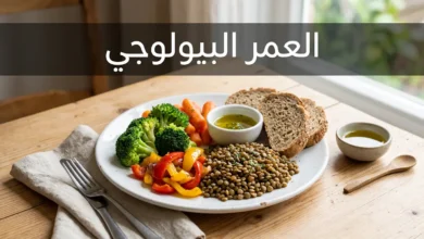 طبق غذاء نباتي صحي يمثل العلاقة بين التغذية والعمر البيولوجي لكبار السن