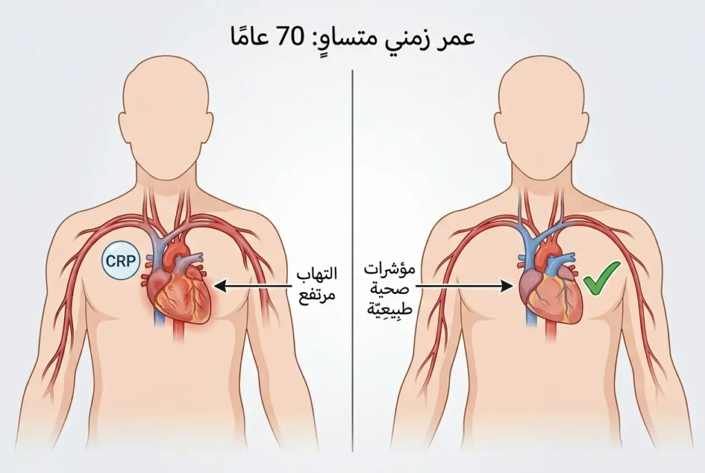 مقارنة طبية توضح الفرق بين العمر البيولوجي والعمر الزمني عبر المؤشرات الحيوية الداخلية