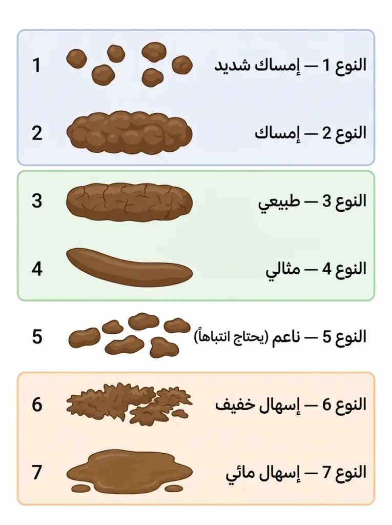 رسم توضيحي طبي لمقياس بريستول لأشكال البراز السبعة مع تصنيفها الطبي بالعربية