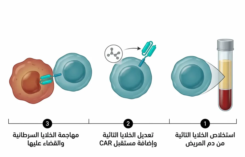 رسم طبي يُوضّح مراحل علاج CAR-T من استخلاص الخلايا التائية إلى تعديلها جينياً وإعادتها لمهاجمة خلايا اللوكيميا
