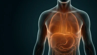غلاف مقال طبي يُظهر جسماً بشرياً شبه شفاف تتوهج من داخله أضواء برتقالية دافئة تمثل الالتهاب المزمن الجهازي الصامت
