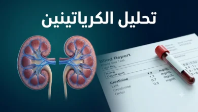 صورة غلاف مقال تحليل الكرياتينين في الدم تُظهر الكليتين وأنبوب فحص الدم على خلفية طبية احترافية