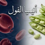 صورة غلاف لمقال أنيميا الفول تجمع بين حبوب الفول الطازجة وخلية دم حمراء متضررة