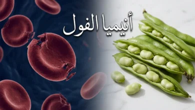 صورة غلاف لمقال أنيميا الفول تجمع بين حبوب الفول الطازجة وخلية دم حمراء متضررة