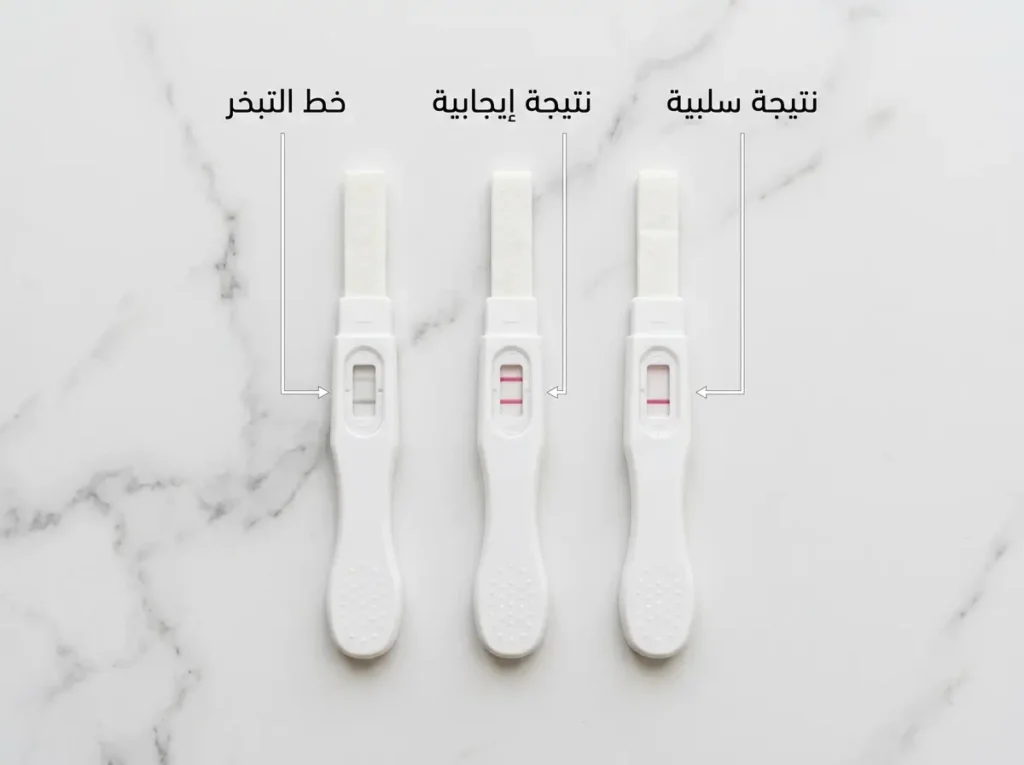 ثلاثة أشرطة اختبار حمل متجاورة تُقارن بين النتيجة السلبية والإيجابية وخط التبخر الوهمي