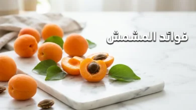 صورة غلاف تُظهر ثمار المشمش الطازج على سطح رخامي أبيض مع عنوان فوائد المشمش بالعربية.