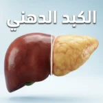 صورة ثلاثية الأبعاد واقعية تقارن بين كبد صحي بلون أحمر داكن وكبد دهني شاحب متضخم مع نص الكبد الدهني