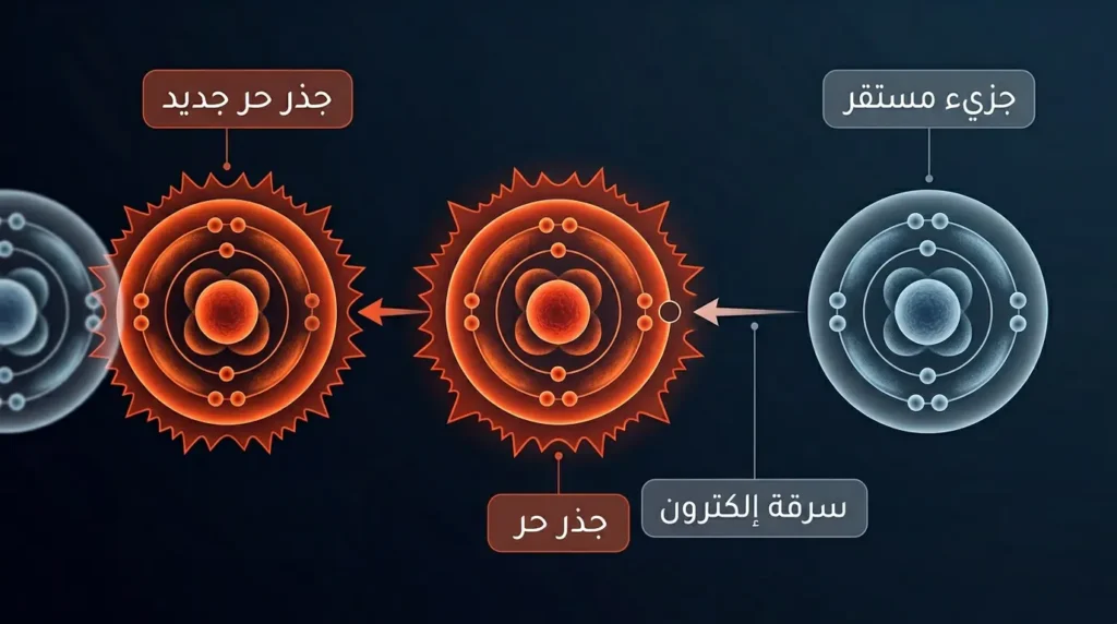 رسم طبي يوضح سلسلة تفاعل الجذور الحرة وسرقة الإلكترونات من الجزيئات المستقرة