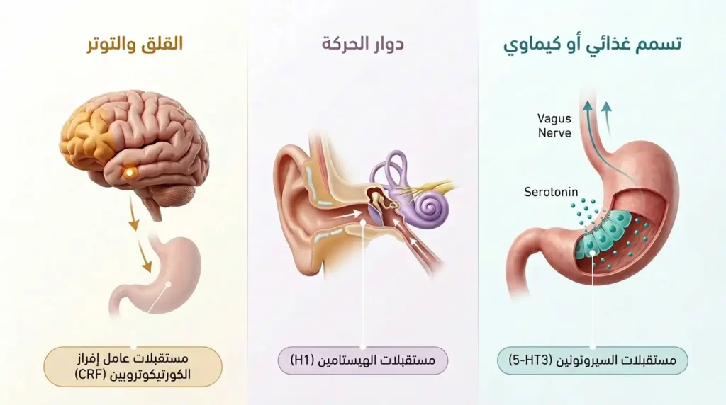 مخطط طبي ثلاثي الأبعاد يقارن بين ثلاثة مسارات مختلفة للغثيان وهي التسمم الغذائي ودوار الحركة والقلق مع المستقبلات العصبية المسؤولة عن كل نوع