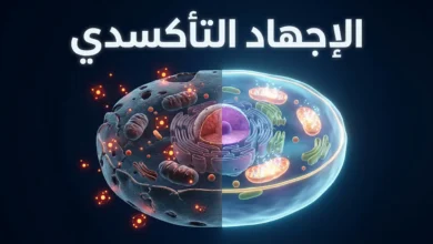 صورة غلاف توضح مفهوم الإجهاد التأكسدي مع خلية سليمة وأخرى متضررة بالجذور الحرة