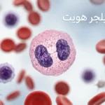 صورة غلاف طبية تُظهر خلية متعادلة ذات نواة ثنائية الفص تمثل شذوذ بيلجر هويت ضمن مشهد دموي نظيف وواقعي.