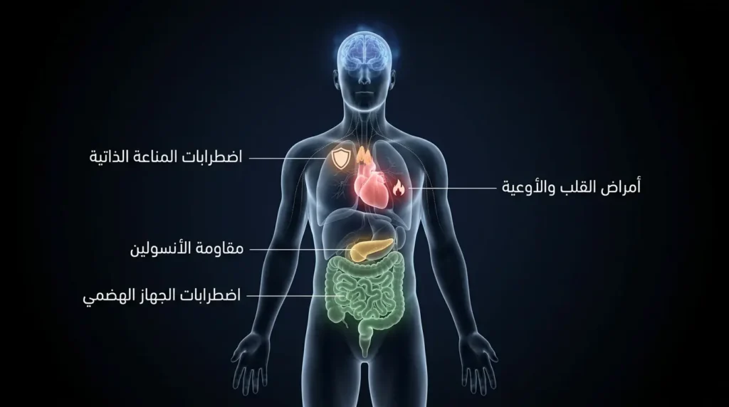 رسم طبي ثلاثي الأبعاد يوضح التأثيرات الجسدية لاضطراب ما بعد الصدمة على القلب والمناعة والبنكرياس والجهاز الهضمي