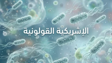 صورة مجهرية واقعية لبكتيريا الإشريكية القولونية (E. coli) توضح شكلها العصوي.