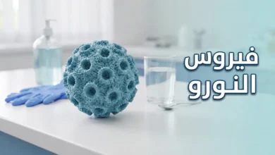 صورة غلاف توضيحية لفيروس النورو تُظهر نموذجاً ثلاثي الأبعاد واقعياً للفيروس بتفاصيل علمية دقيقة مع أدوات وقائية في خلفية مختبرية نظيفة
