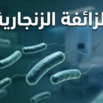 صورة غلاف تُظهر بكتيريا الزائفة الزنجارية بتقنية ثلاثية الأبعاد واقعية بلونها الأزرق المخضر المميز مع خلفية مستشفائية ضبابية.