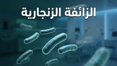 صورة غلاف تُظهر بكتيريا الزائفة الزنجارية بتقنية ثلاثية الأبعاد واقعية بلونها الأزرق المخضر المميز مع خلفية مستشفائية ضبابية.