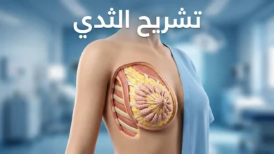 غلاف طبي واقعي يوضح تشريح الثدي بمشهد ثلاثي الأبعاد نظيف مع إظهار البنية الداخلية بشكل علمي.
