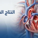 صورة غلاف طبية واقعية تُظهر القلب داخل الصدر مع إبراز مفهوم النتاج القلبي بصرياً