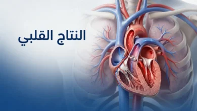 صورة غلاف طبية واقعية تُظهر القلب داخل الصدر مع إبراز مفهوم النتاج القلبي بصرياً