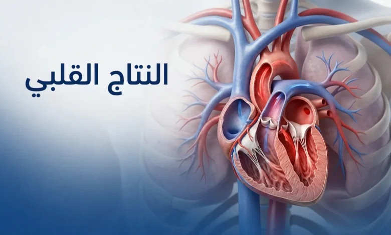 صورة غلاف طبية واقعية تُظهر القلب داخل الصدر مع إبراز مفهوم النتاج القلبي بصرياً