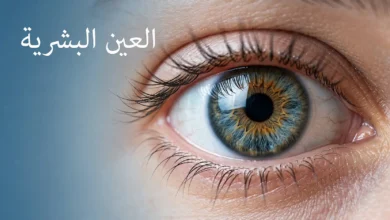 صورة غلاف واقعية مقرّبة لعين بشرية سليمة بتفاصيل دقيقة للقزحية والقرنية مع عنوان المقال