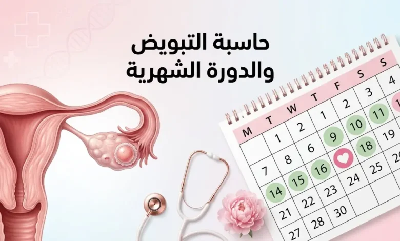 حاسبة التبويض والدورة الشهرية لتحديد أيام الخصوبة وموعد الحمل بدقة طبية