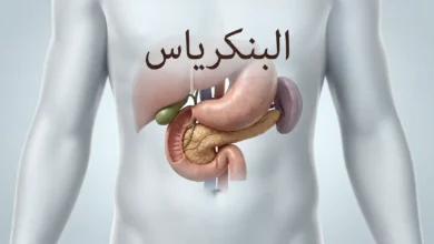 صورة غلاف طبية واقعية تُظهر البنكرياس داخل أعلى البطن خلف المعدة مع إبراز موقعه التشريحي.