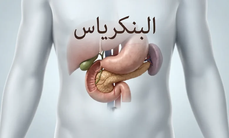 صورة غلاف طبية واقعية تُظهر البنكرياس داخل أعلى البطن خلف المعدة مع إبراز موقعه التشريحي.