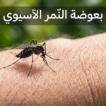 بعوضة النمر الآسيوي جالسة على جلد الإنسان — صورة واقعية عالية الدقة
