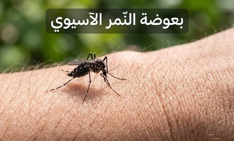 بعوضة النمر الآسيوي جالسة على جلد الإنسان — صورة واقعية عالية الدقة