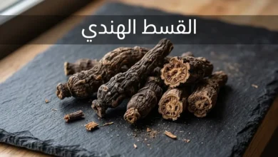 جذور القسط الهندي المجففة بلونها البني الداكن على سطح طبيعي