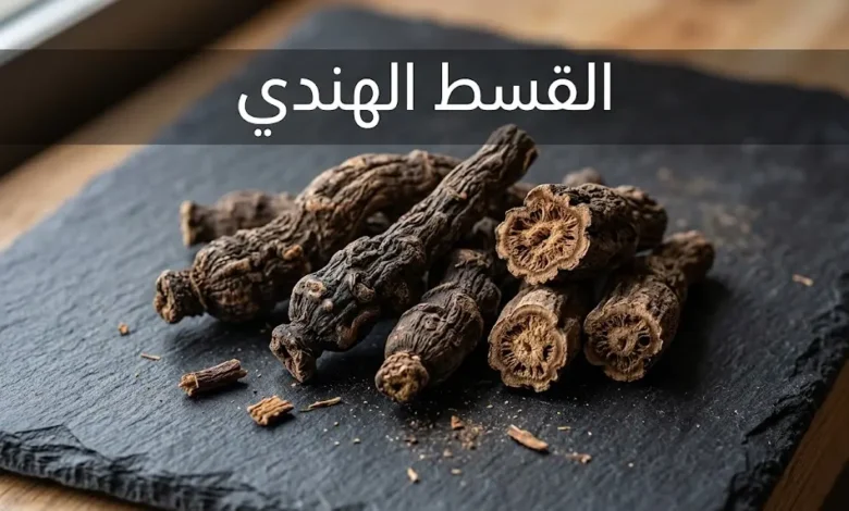 جذور القسط الهندي المجففة بلونها البني الداكن على سطح طبيعي