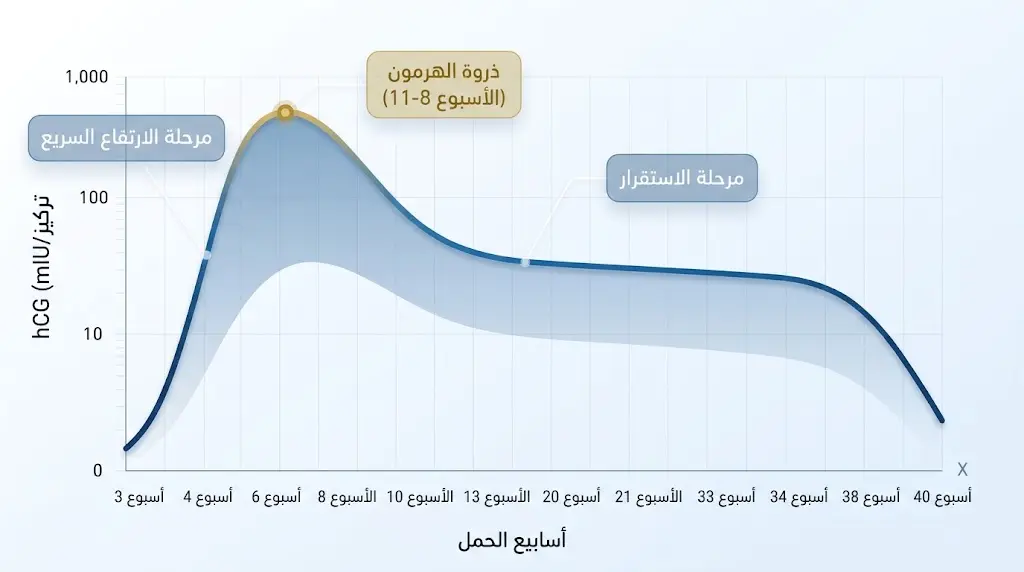 منحنى بياني يُظهر مستويات هرمون الحمل hCG من بداية الحمل حتى الولادة مع تحديد ذروة الهرمون بين الأسبوعين الثامن والحادي عشر
