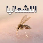 ذبابة الرمل الناقل الرئيسي لمرض اللشمانيا على الجلد عند الغروب