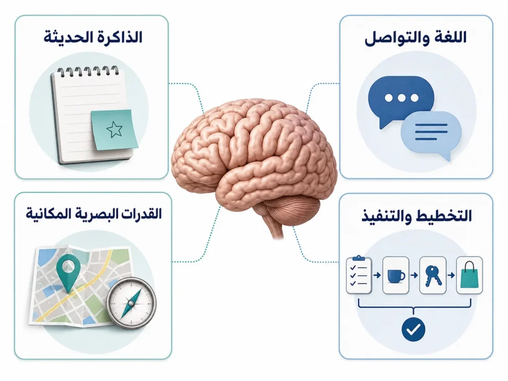 إنفوغرافيك يوضح الوظائف المعرفية التي قد تتأثر بمرض الزهايمر، بما فيها الذاكرة واللغة والقدرات البصرية المكانية والتخطيط.