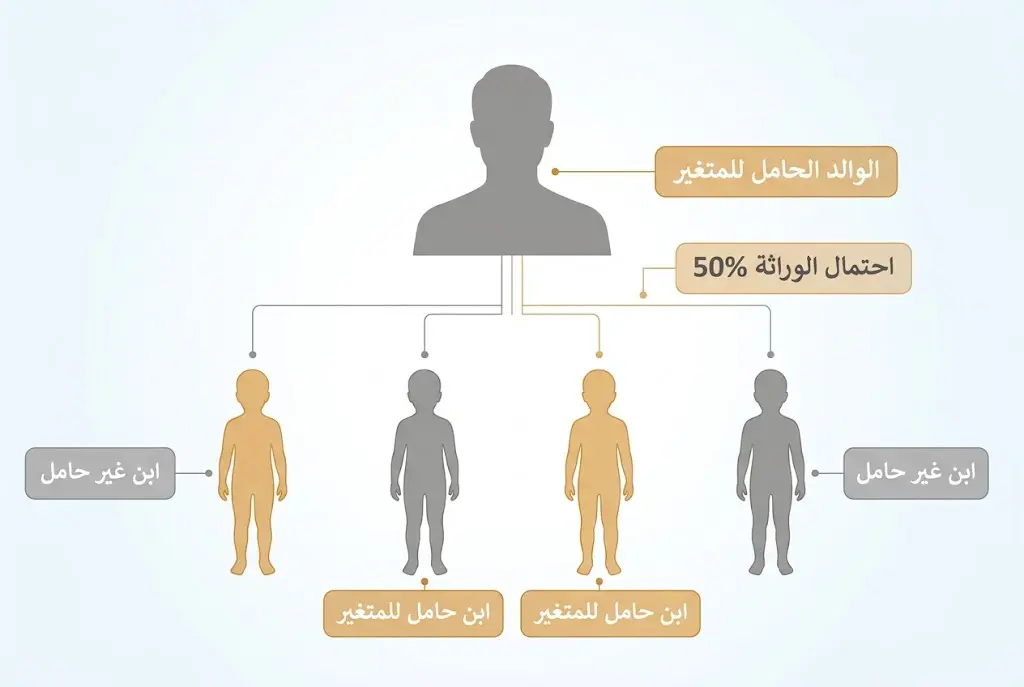 مخطط يوضح احتمال وراثة متغير PRNP بنسبة 50% لكل ابن