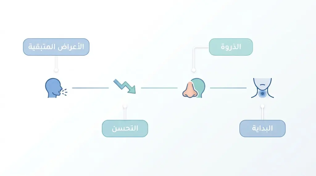 خط زمني يوضح المراحل الأربع لتطور أعراض الزكام من البداية حتى التعافي