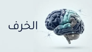 رسم طبي ثلاثي الأبعاد لدماغ بشري مع مسارات عصبية مترابطة يوضح ارتباط الخرف بتأثر الوظائف المعرفية.