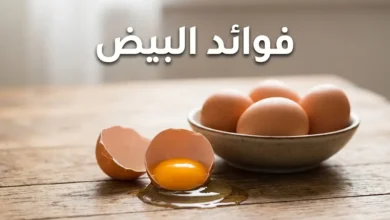 فوائد البيض وقيمته الغذائية وعلاقته بالكوليسترول
