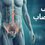 رسم طبي توضيحي هادئ لجذع رجل مع إبراز رمزي للدورة الدموية في منطقة الحوض، وعنوان ضعف الانتصاب.