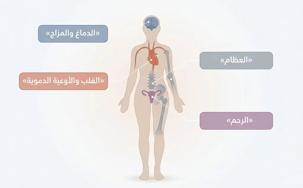 أعضاء الجسم التي يؤثر فيها هرمون الإستروجين