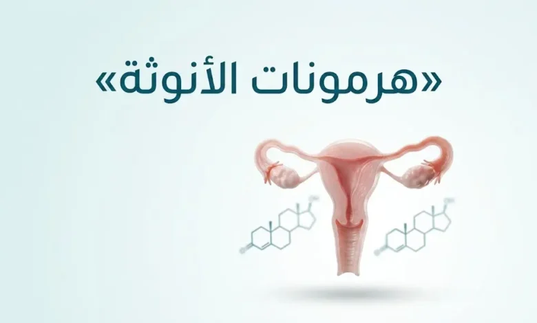 هرمونات الأنوثة وأنواعها ووظائفها في جسم المرأة