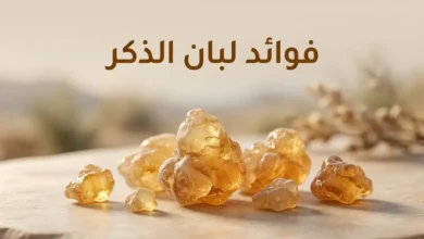 قطع من راتنج لبان الذكر الطبيعي الذهبي اللون مرتبة على سطح فاتح، مع عنوان فوائد لبان الذكر.