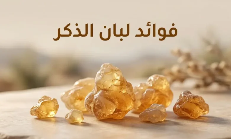 قطع من راتنج لبان الذكر الطبيعي الذهبي اللون مرتبة على سطح فاتح، مع عنوان فوائد لبان الذكر.