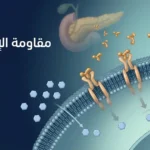 رسم علمي يوضح مستقبلات الإنسولين على غشاء الخلية واستجابتها الضعيفة لجزيئات الإنسولين مع تراكم الغلوكوز خارج الخلية.